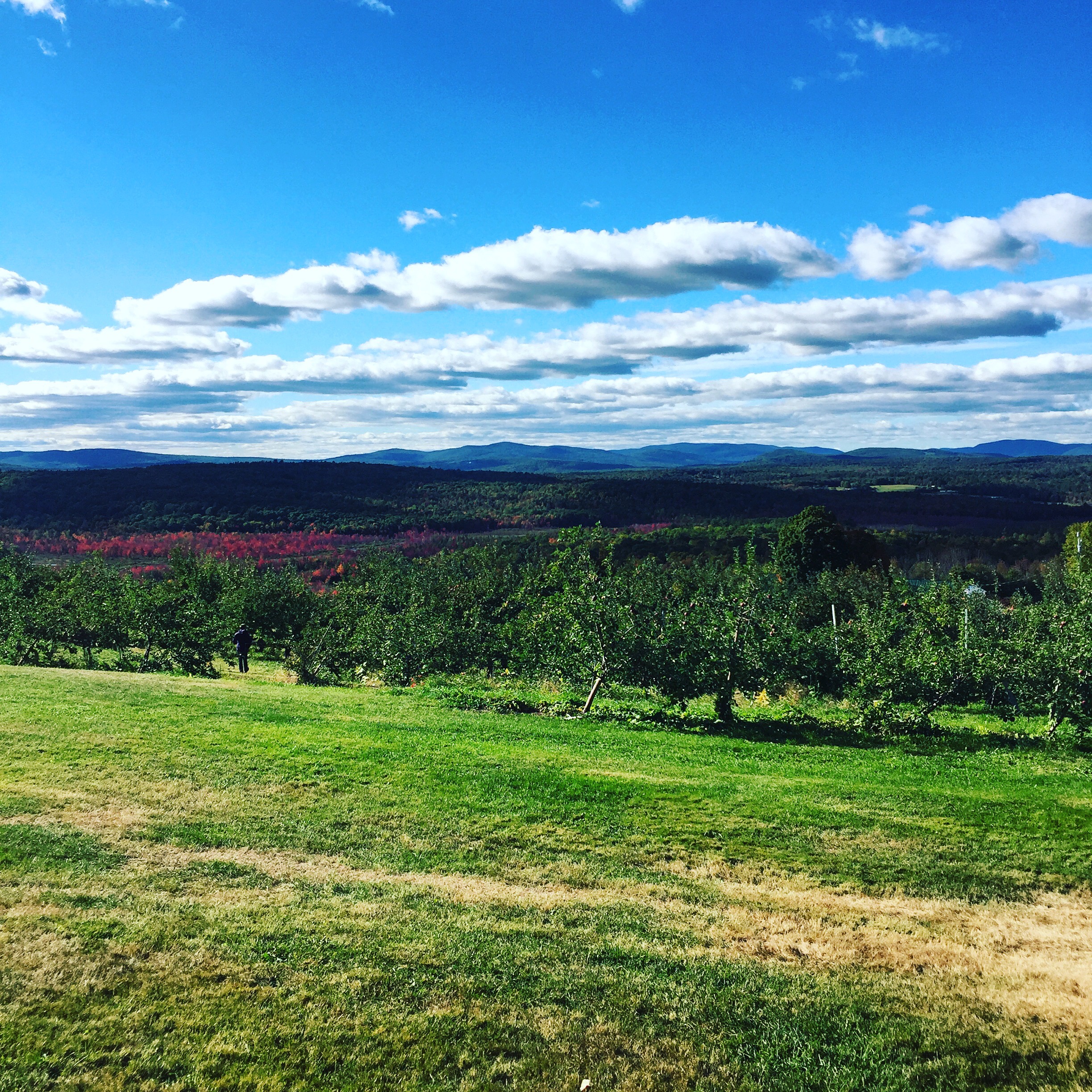 Ricker Hill Orchards, Turner, Maine