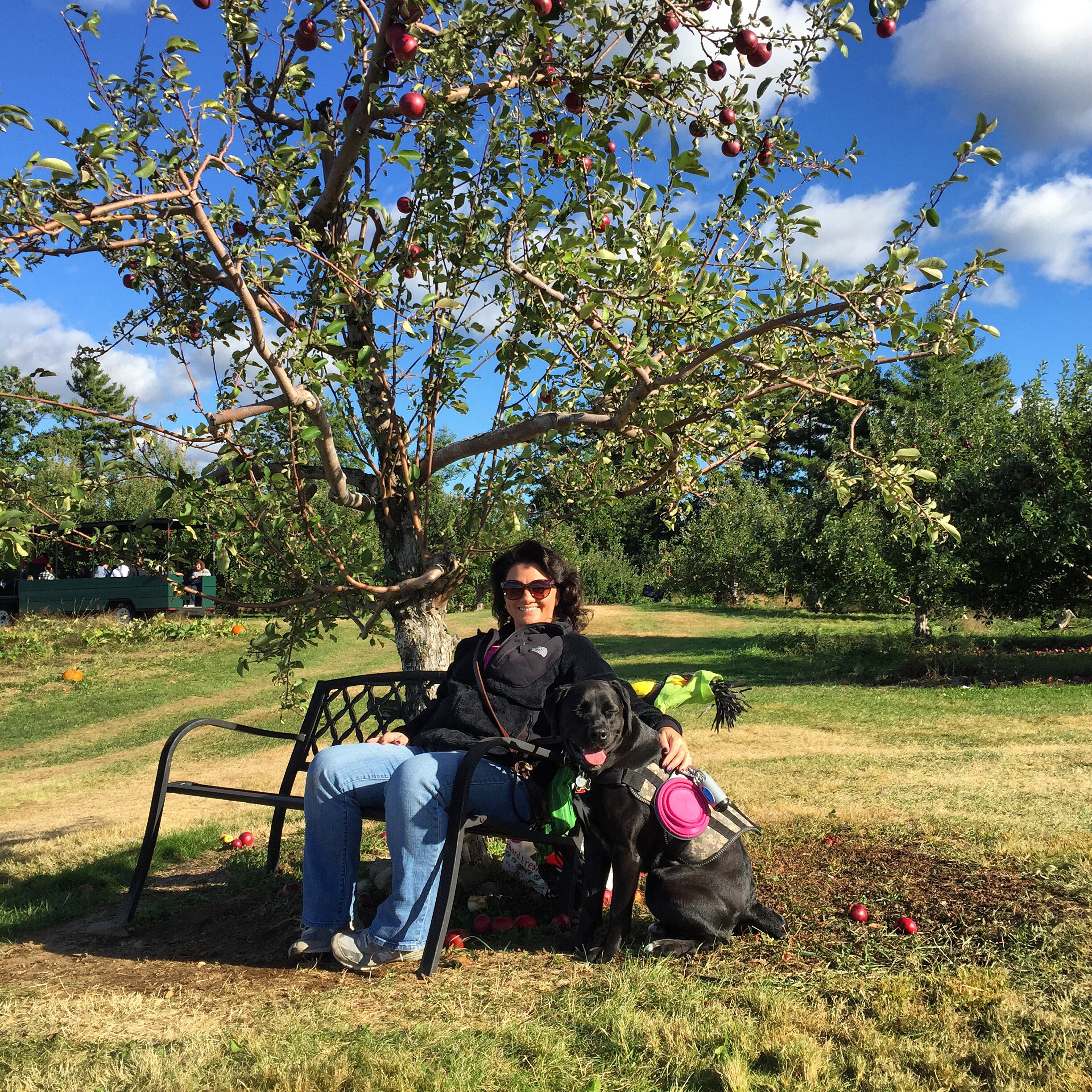 Ricker Hill Orchards, Turner, Maine