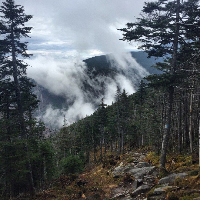 Kinsman Ridge Trail, Cannon Mountain, New Hampshire