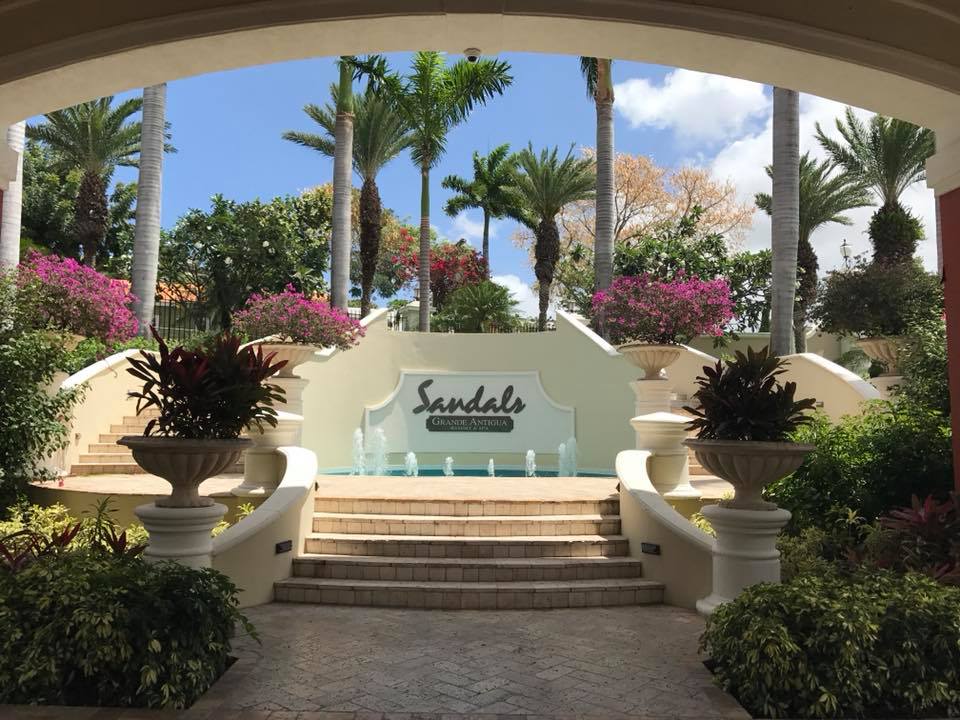 29261442_1676290609080840_1792677993110306816_n