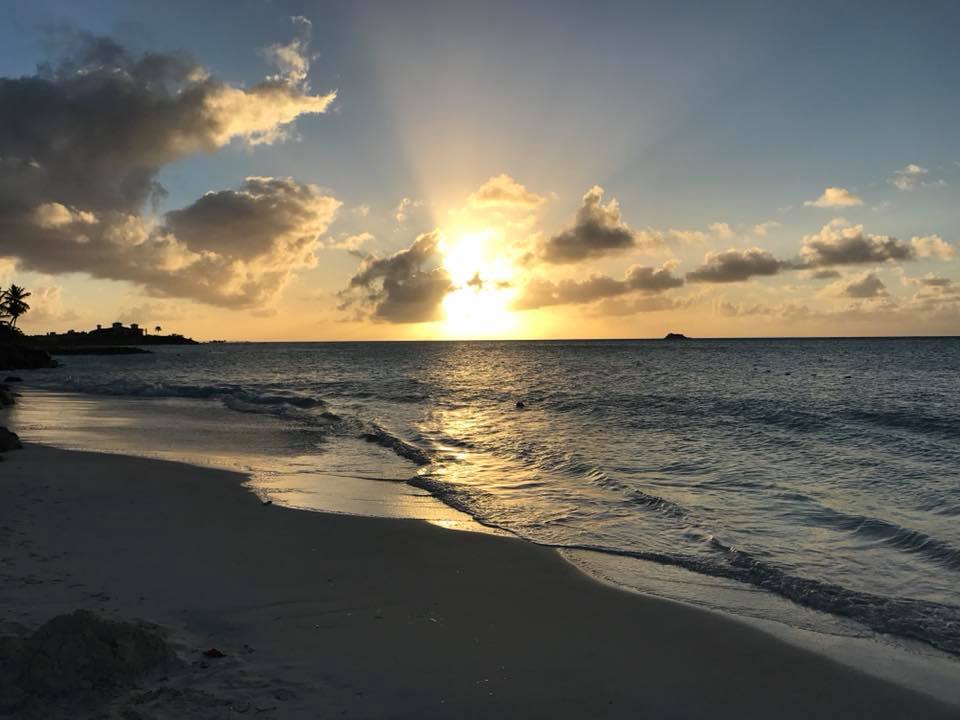 29261485_1676290512414183_7476502726109560832_n