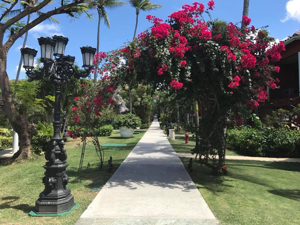 29314221_1676284662414768_2315686962586976256_n