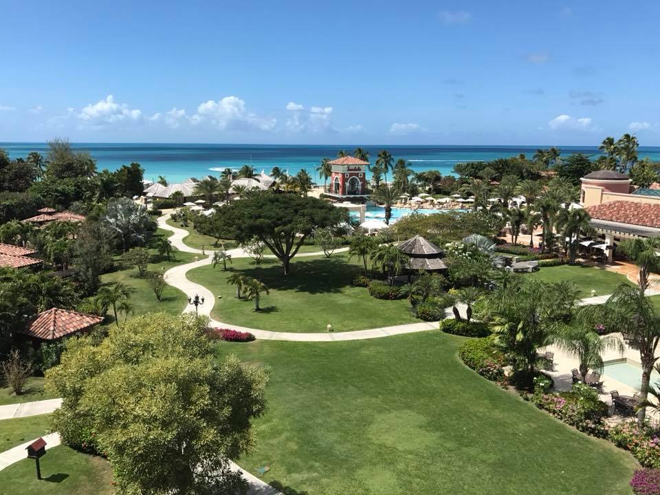 29356468_1676284325748135_658738938281721856_n