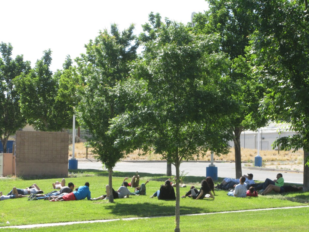 A group of people lying on grass in a park, surrounded by trees on a sunny day.